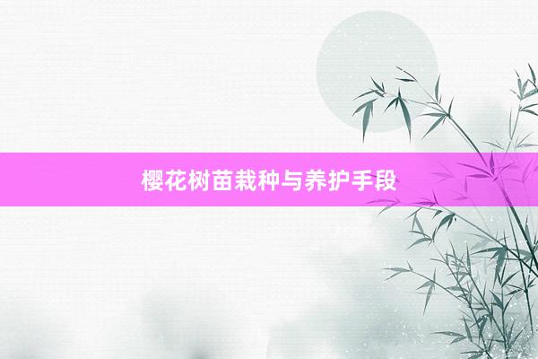 樱花树苗栽种与养护手段
