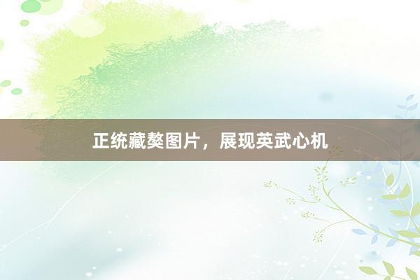 正统藏獒图片，展现英武心机