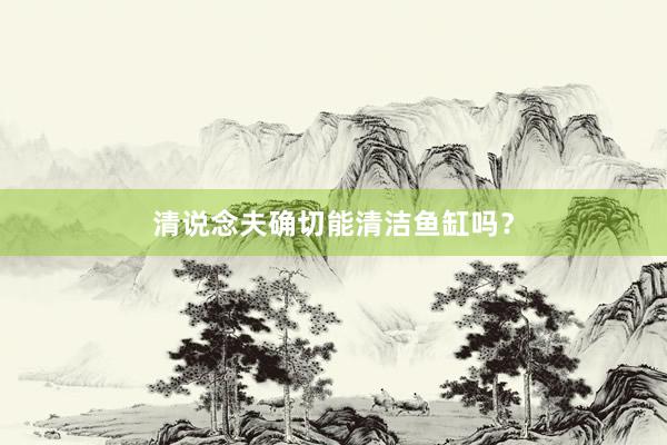 清说念夫确切能清洁鱼缸吗?