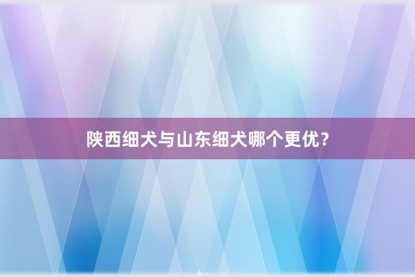 陕西细犬与山东细犬哪个更优?