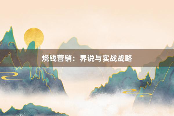 烧钱营销：界说与实战战略